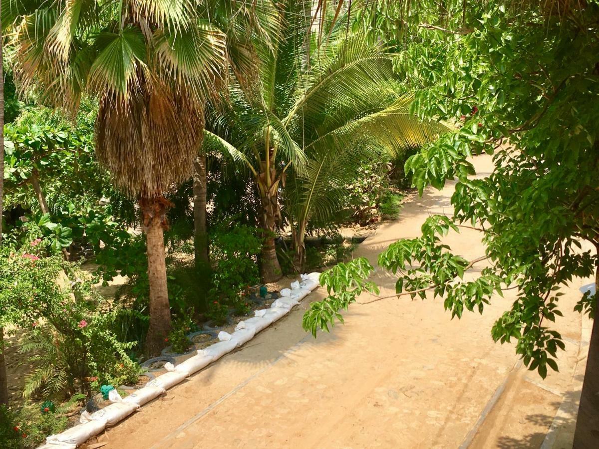 Hotel Rinconcito De Mazunte Santa María Tonameca エクステリア 写真